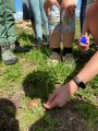 Lesní divadlo - hledání velikonočního pokladu