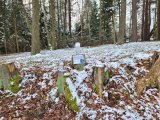 Vánoční stezka Křenovice