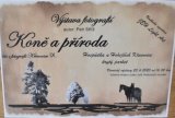 Výstava fotografií Petra Stříže